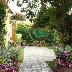 Chiang Mai, TH